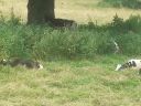 20140727_131537.jpg