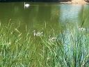 20140717_130922.jpg