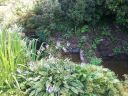 20140717_131815.jpg