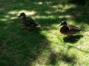 20140817_123438.jpg