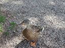 20140817_124424.jpg