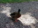20140817_124433.jpg