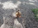20140817_124929.jpg