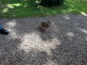 20140817_125003.jpg