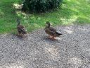 20140817_125021.jpg