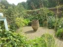 20140817_130135.jpg