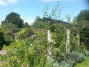 20140817_130852.jpg