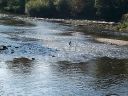 20140910_142944.jpg