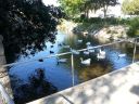 20140910_145756.jpg