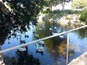 20140910_145848G.jpg