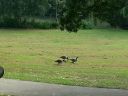 20140916_132654.jpg