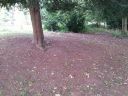 20140916_134421.jpg