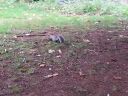 20140916_134434.jpg