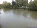 20140916_135346.jpg