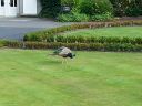 20140911_163931.jpg