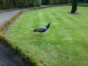 Filename=20140911_164028.jpg
Filesize=775KiB
Dimensions=933x700
Date added=Sep 21, 2014 20140911_164028.jpg