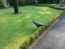 Filename=20140911_164135.jpg
Filesize=831KiB
Dimensions=933x700
Date added=Sep 21, 2014 20140911_164135.jpg