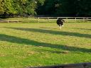20140911_180105.jpg