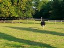 20140911_180128.jpg