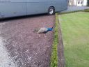 20140911_192750.jpg