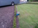 20140911_192757.jpg