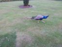 20140911_192812.jpg