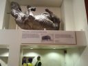20141230_125243.jpg