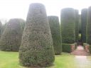 20150424_130029.jpg