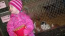 Filename=20150302_105833.jpg
Filesize=143KiB
Dimensions=1047x589
Date added=Jun 07, 2015 20150302_105833.jpg