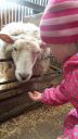 Filename=20150302_111608.jpg
Filesize=315KiB
Dimensions=394x700
Date added=Jun 07, 2015 20150302_111608.jpg