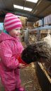 Filename=20150302_111817.jpg
Filesize=347KiB
Dimensions=394x700
Date added=Jun 07, 2015 20150302_111817.jpg