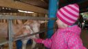 Filename=20150302_121838.jpg
Filesize=100KiB
Dimensions=1047x589
Date added=Jun 07, 2015 20150302_121838.jpg