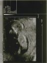 Scan.jpg