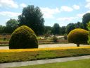 20150607_121749.jpg