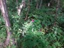 20150719_161409.jpg