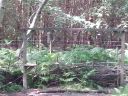 20150719_161451.jpg