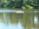 20150719_161808.jpg