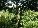 20150719_162446.jpg