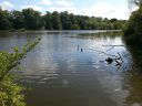 20150719_162557.jpg