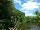 20150719_162643.jpg