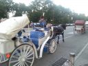 20151004_175215.jpg