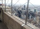 20151004_103058.jpg