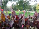 20150924_141420.jpg