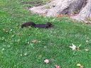 20150924_161245.jpg
