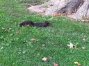 20150924_161246.jpg
