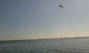 20150923_140820.jpg