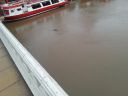 20160102_111417.jpg