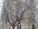 20160102_112721.jpg