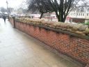 20160102_121847.jpg