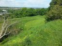 20160524_145528.jpg